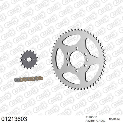 Pignon AFAM 21200 - 16 dents