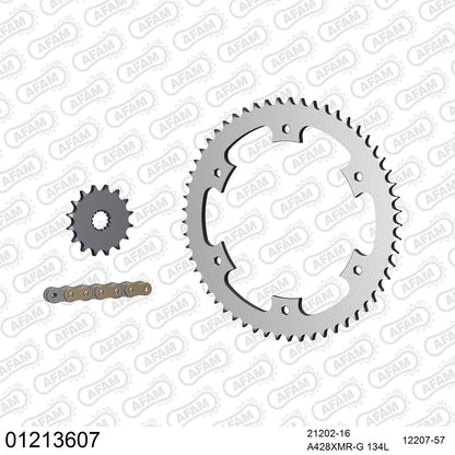Pignon AFAM 21202 - 16 dents