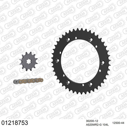 Pignon AFAM 30200 - 12 dents