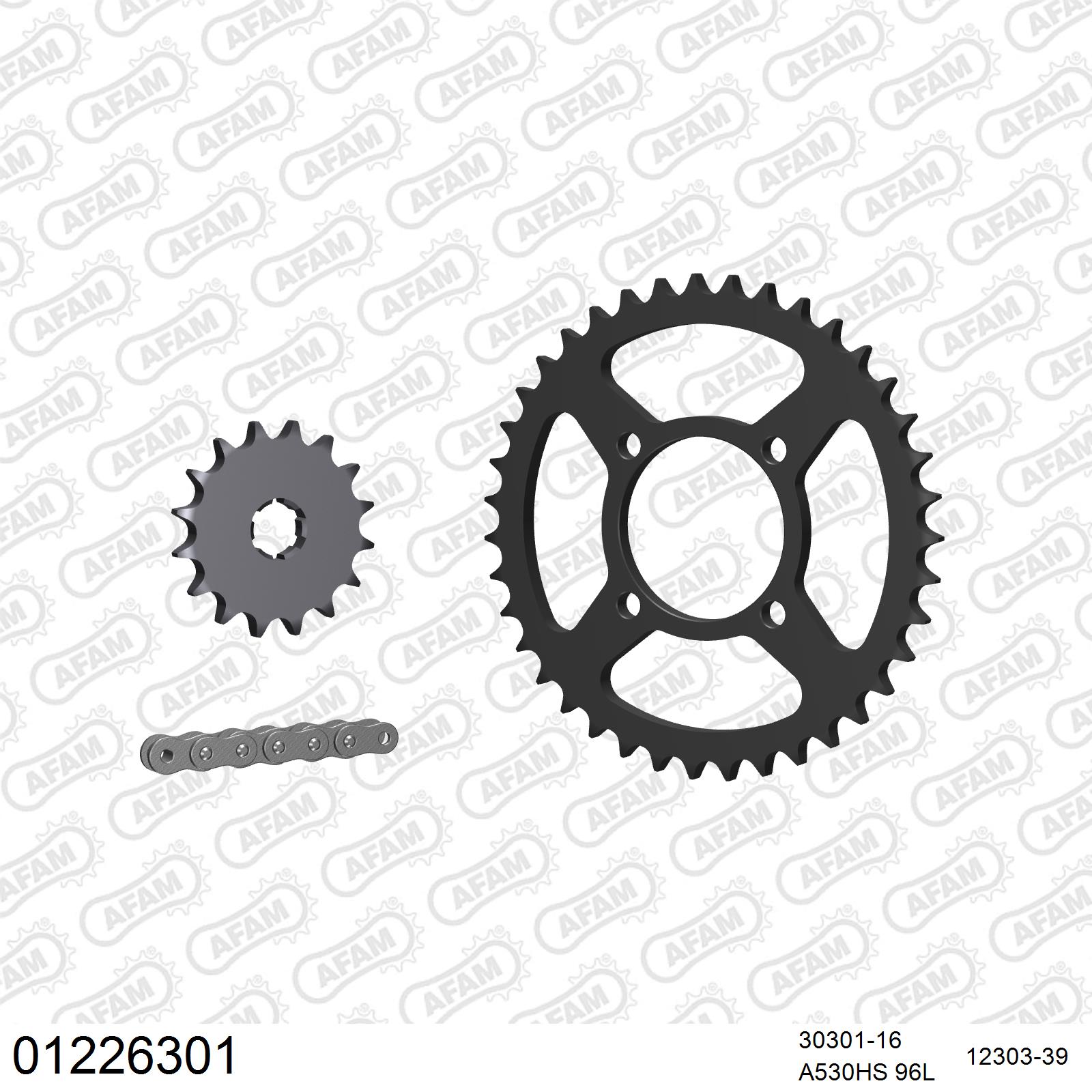 Pignon AFAM 30301 - 16 dents