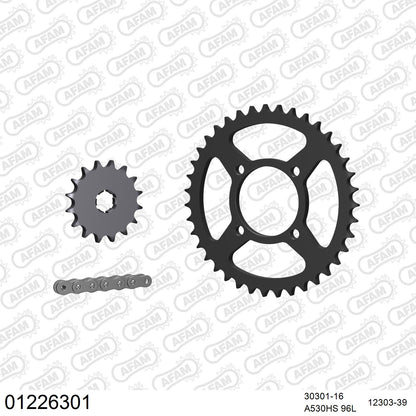 Pignon AFAM 30301 - 16 dents