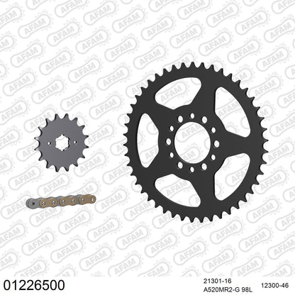 Pignon AFAM 21301 - 16 dents