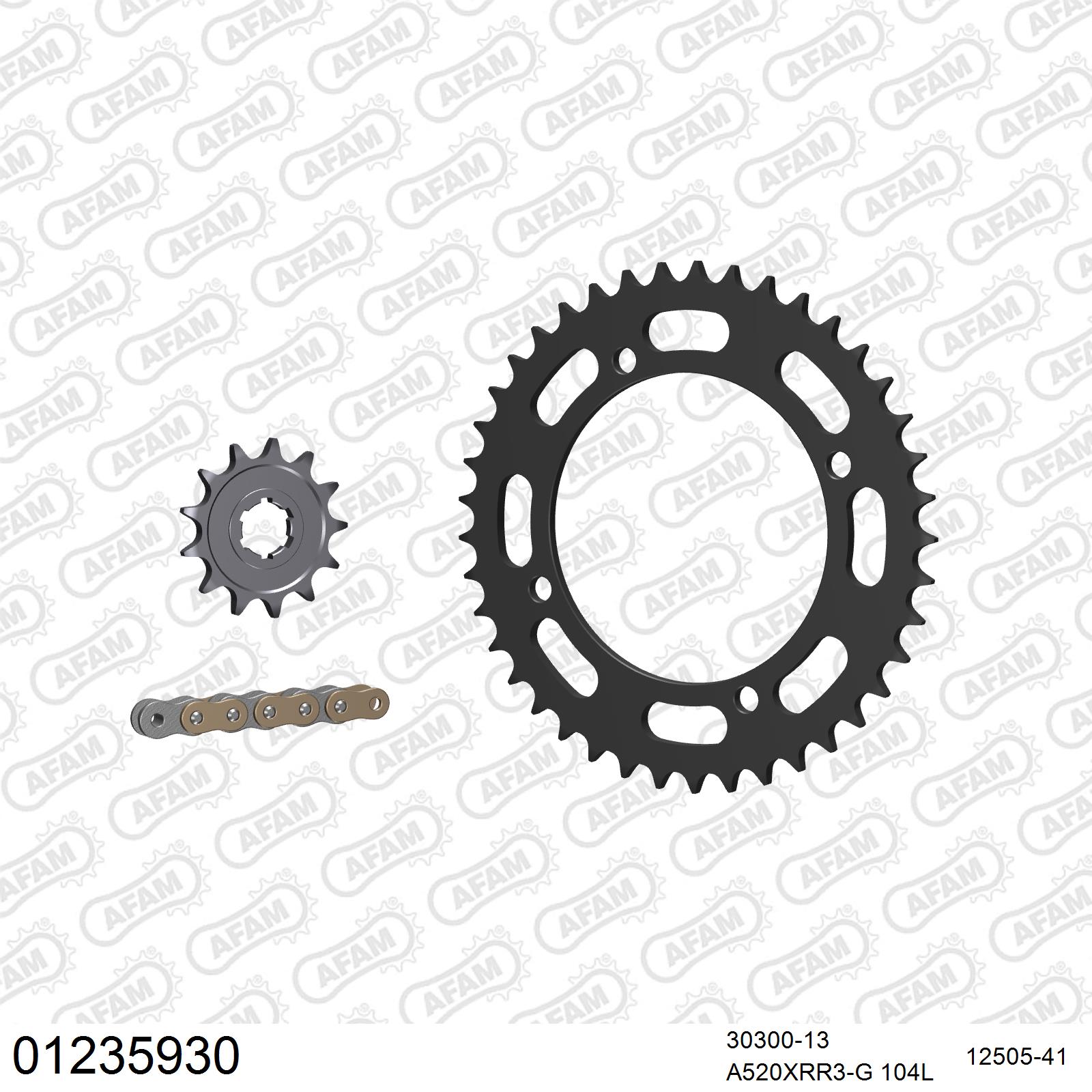Pignon AFAM 30300 - 13 dents