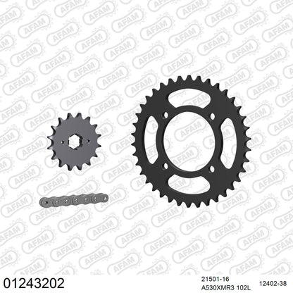 Pignon AFAM 21501 - 16 dents