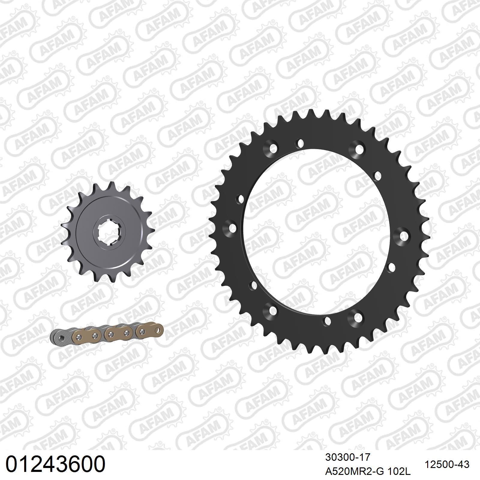 Pignon AFAM 30300 - 17 dents