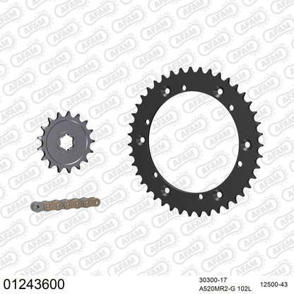 Pignon AFAM 30300 - 17 dents