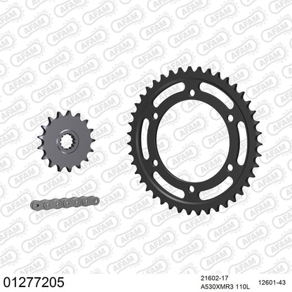 Pignon AFAM 21602 - 17 dents