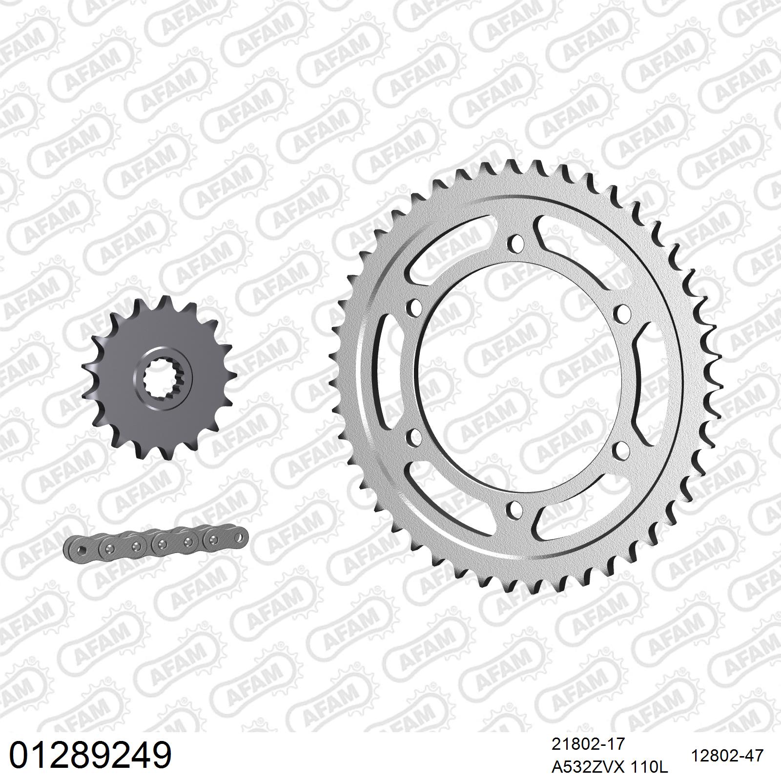 Pignon AFAM 21802 - 17 dents