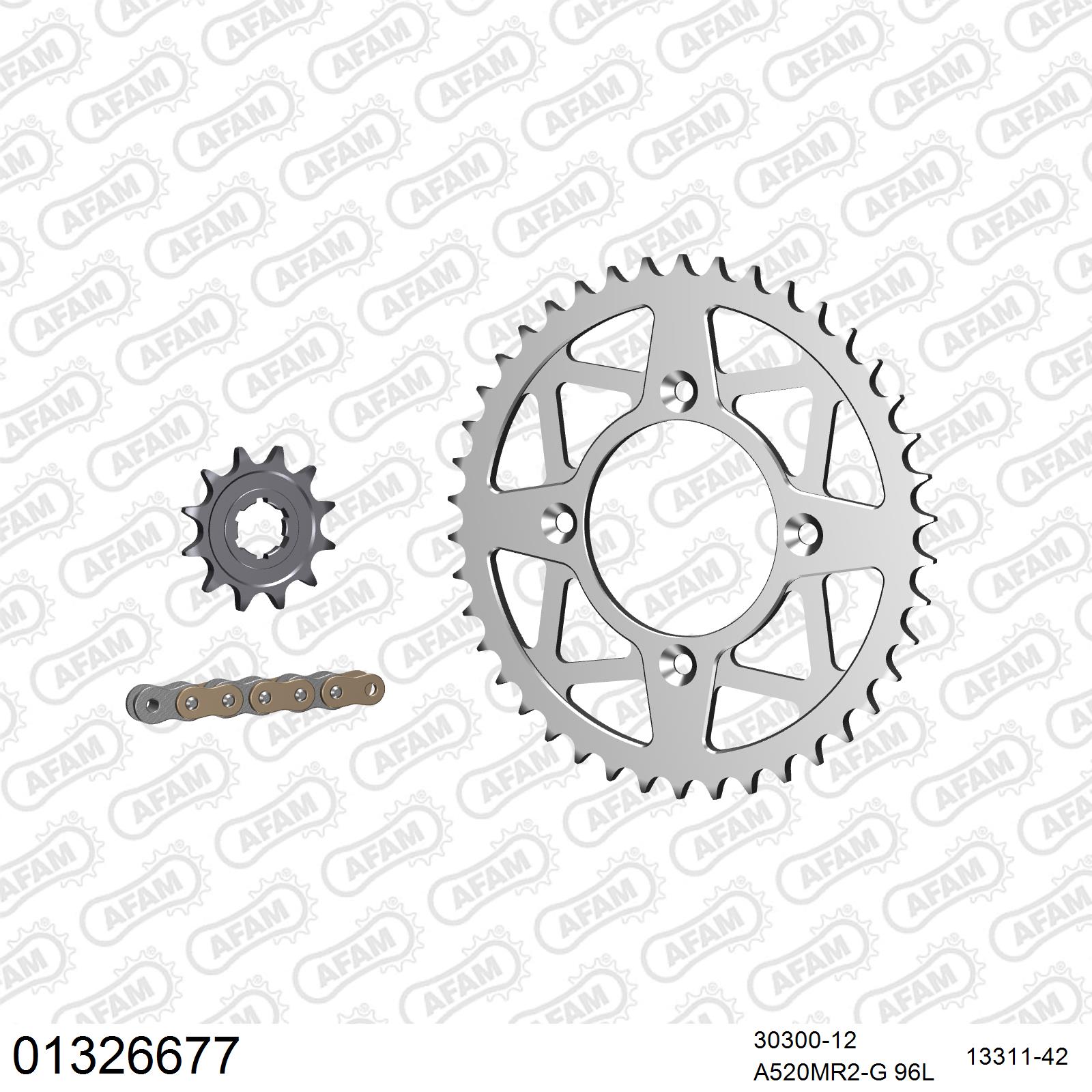 Pignon AFAM 30300 - 12 dents