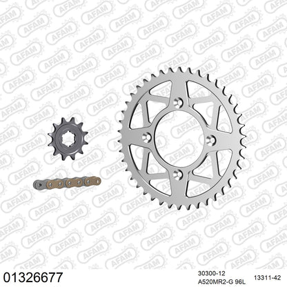 Pignon AFAM 30300 - 12 dents