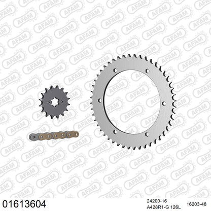 Pignon AFAM 24200 - 16 dents