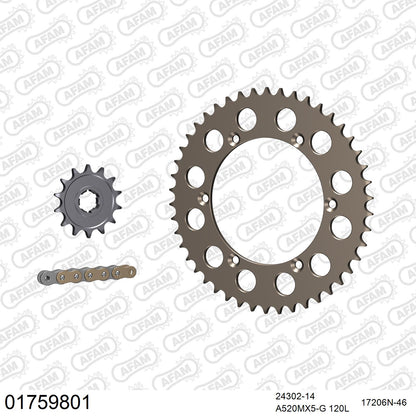 Pignon AFAM 24302 - 14 dents