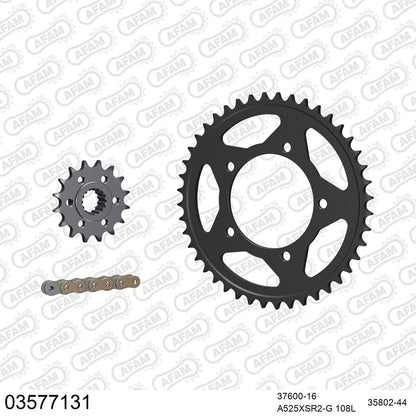 Pignon AFAM 37600 - 16 dents