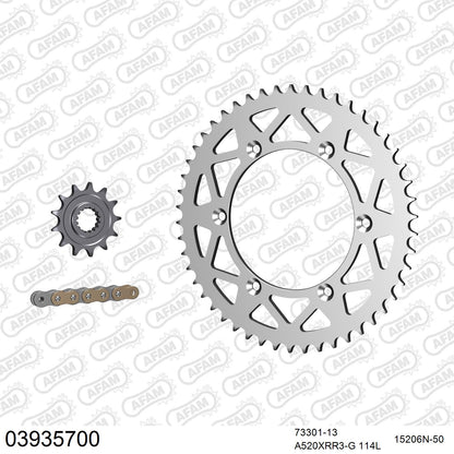 Pignon AFAM 73301 - 13 dents