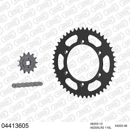 Pignon AFAM 46203 - 13 dents