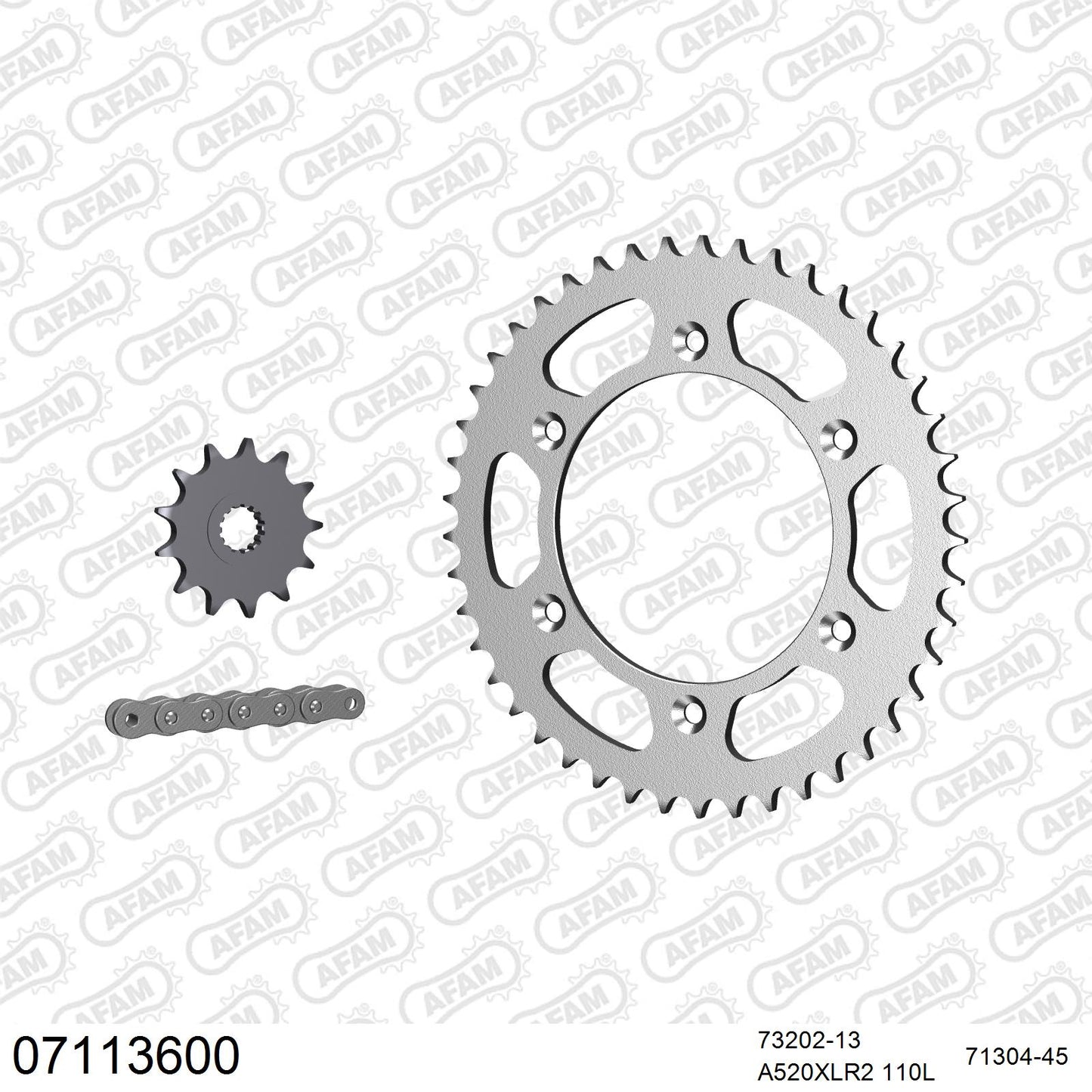 Pignon AFAM 73202 - 13 dents