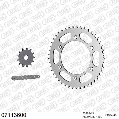 Pignon AFAM 73202 - 13 dents