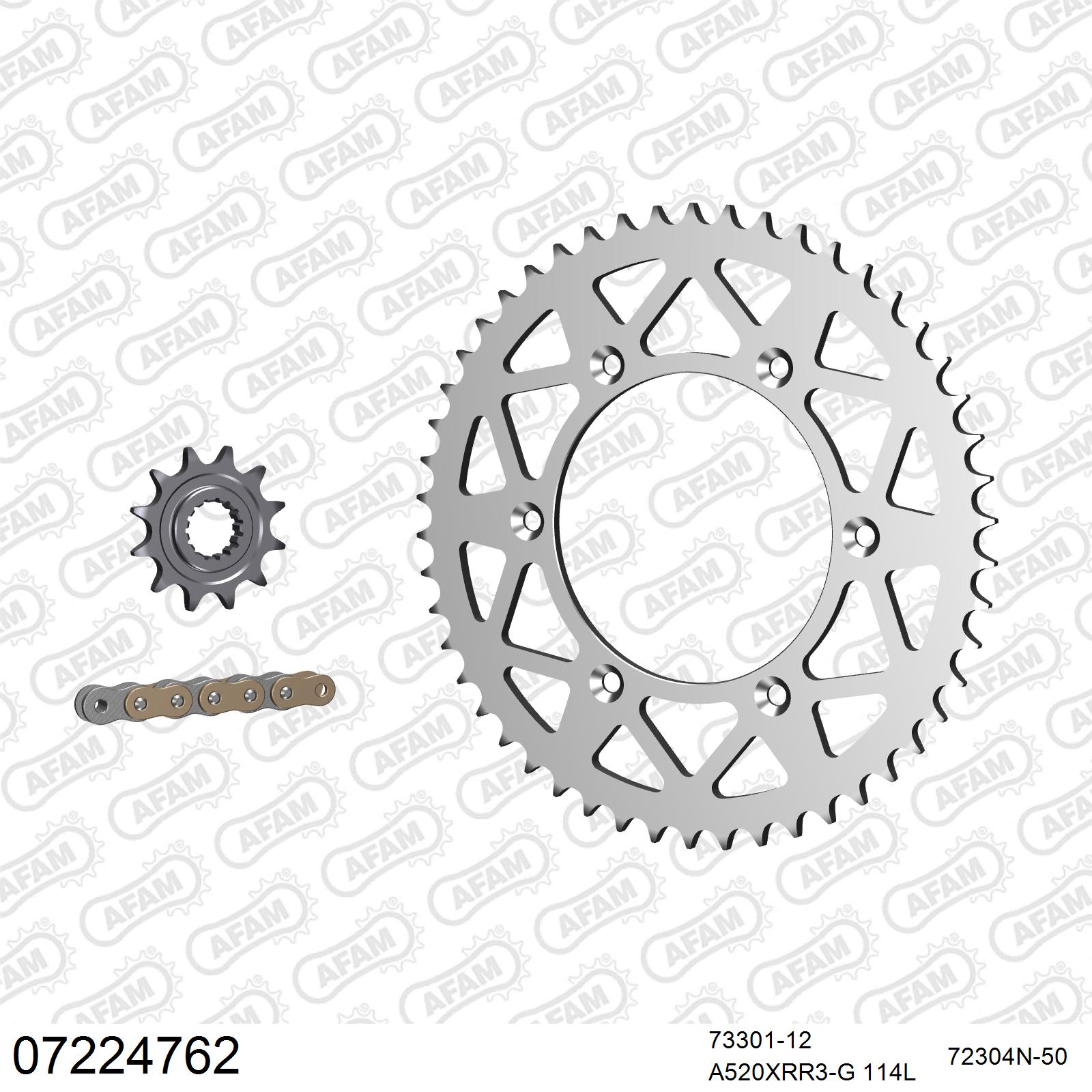 Pignon AFAM 73301 - 12 dents
