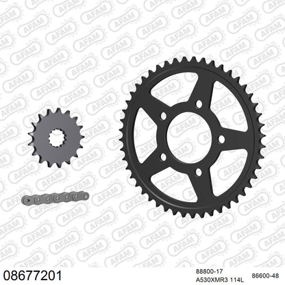 Pignon AFAM 88800 - 17 dents