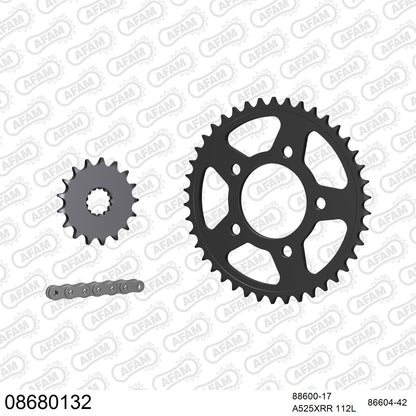 Pignon AFAM 88600 - 17 dents