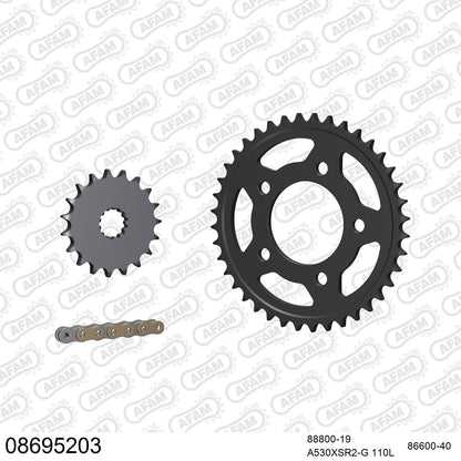 Pignon AFAM 88800 - 19 dents