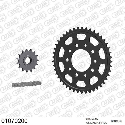Kit chaîne AFAM Honda CBR 600 F (1987-1990)