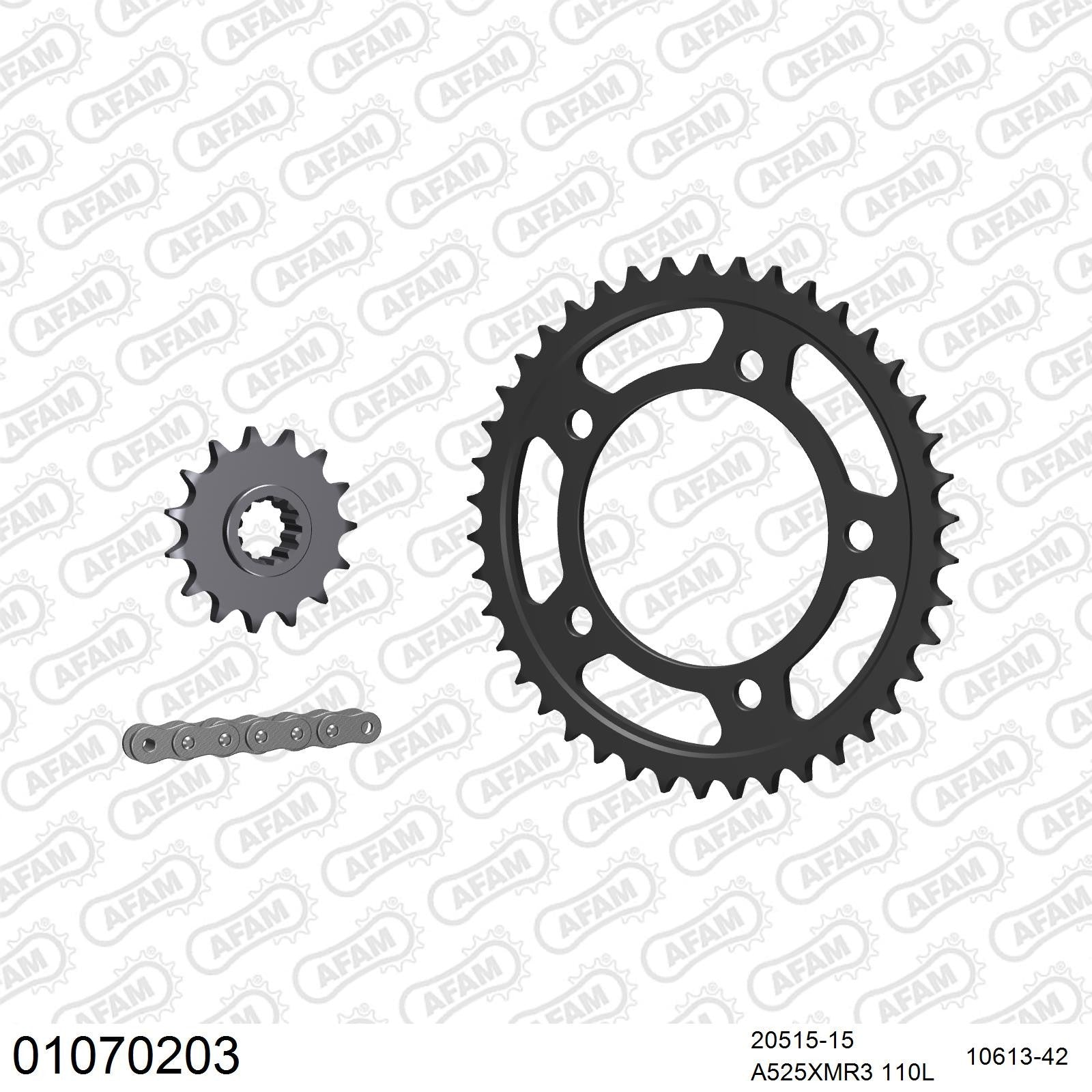 Kit chaîne AFAM Honda CB 600 F Hornet (1998-2006)