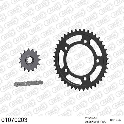 Kit chaîne AFAM Honda CB 600 F Hornet (1998-2006)
