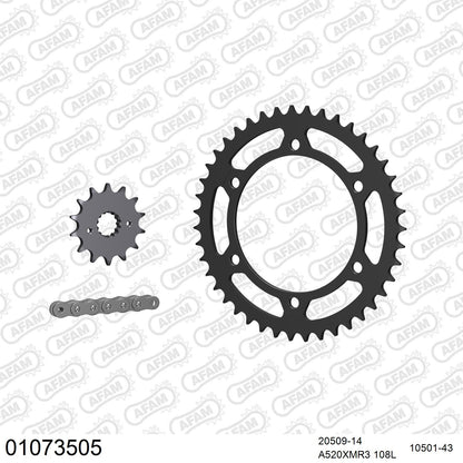 Kit chaîne AFAM Honda FX 650 Vigor (1999-2002)