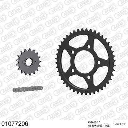 Kit chaîne AFAM Honda VFR 750 F (1986-1987)