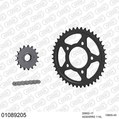 Kit chaîne AFAM Honda CBR 1000 F (1987-1988)