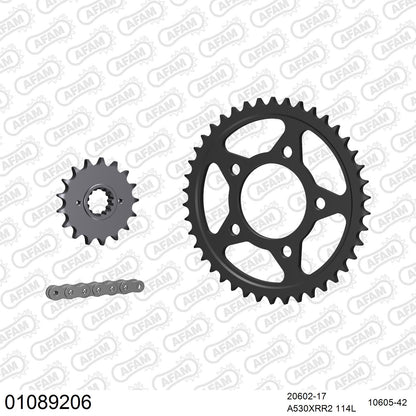 Kit chaîne AFAM Honda CBR 1000 F (1989-1995)