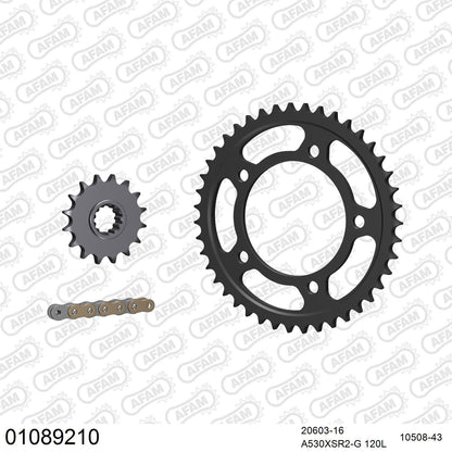 Kit chaîne AFAM Honda CBF 1000 ABS (2006-2009)