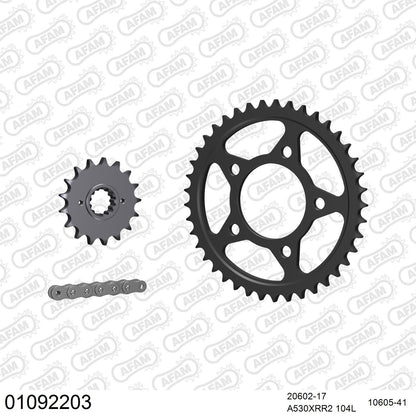 Kit chaîne AFAM Honda CB 1100 F / R (1981-1983)