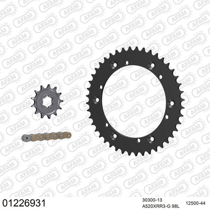 Kit chaîne AFAM Yamaha YFM 350 R (2005-2012)