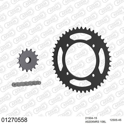 Kit chaîne AFAM Yamaha XT 600 Ténéré (1989-1995)