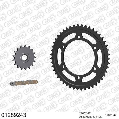 Kit chaîne AFAM Yamaha FZR 1000 EXUP (1989-1995)
