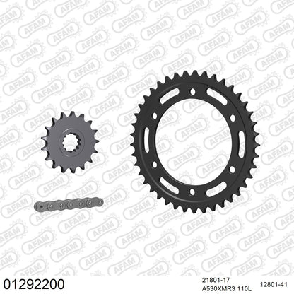Kit chaîne AFAM Yamaha FJ 1100 (1984-1985)