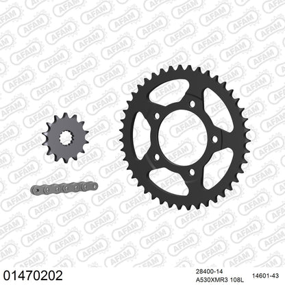 Kit chaîne AFAM Suzuki GSX 600 RF (1993-1994)