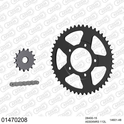 Kit chaîne AFAM Suzuki GSF 600 S Bandit (1996-2003)