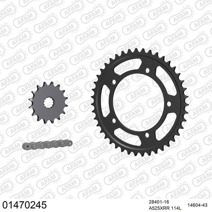 Kit chaîne AFAM Suzuki GSX-R 600 (2006-2010)
