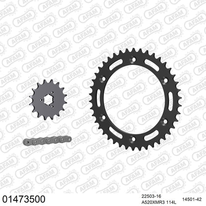Kit chaîne AFAM Suzuki DR 650 RS (1990-1995)