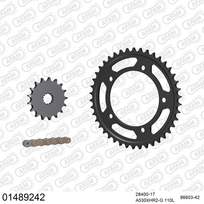 Kit chaîne AFAM Suzuki GSX-R 1000 (2001-2006)