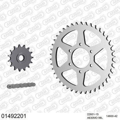 Kit chaîne AFAM Suzuki GSX 1100 Katana (1980-1986)