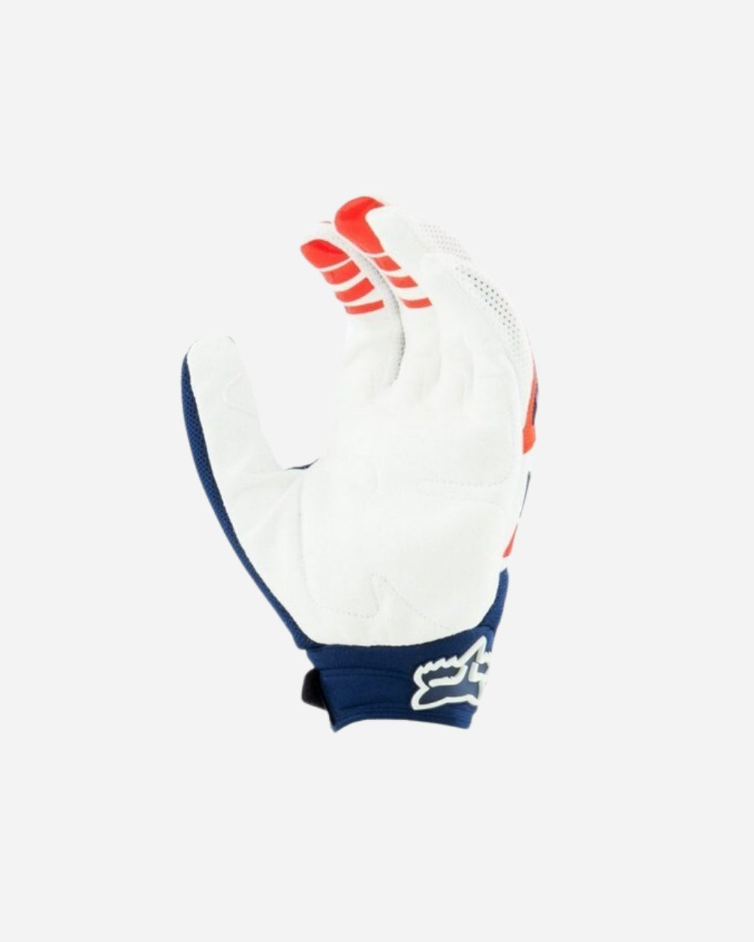 Gants Fox Racing Dirtpaw Mako - Bleu/Rouge