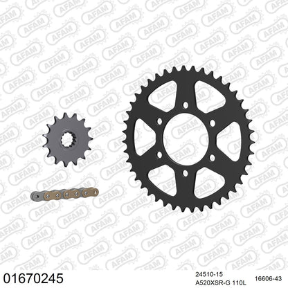 Kit chaîne AFAM Kawasaki Ninja ZX-6R 636 (2005-2006)