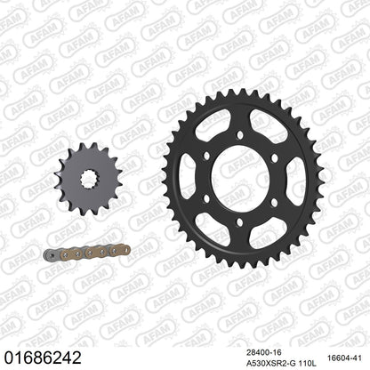 Kit chaîne AFAM Kawasaki Ninja ZX-9R (1998-2001)