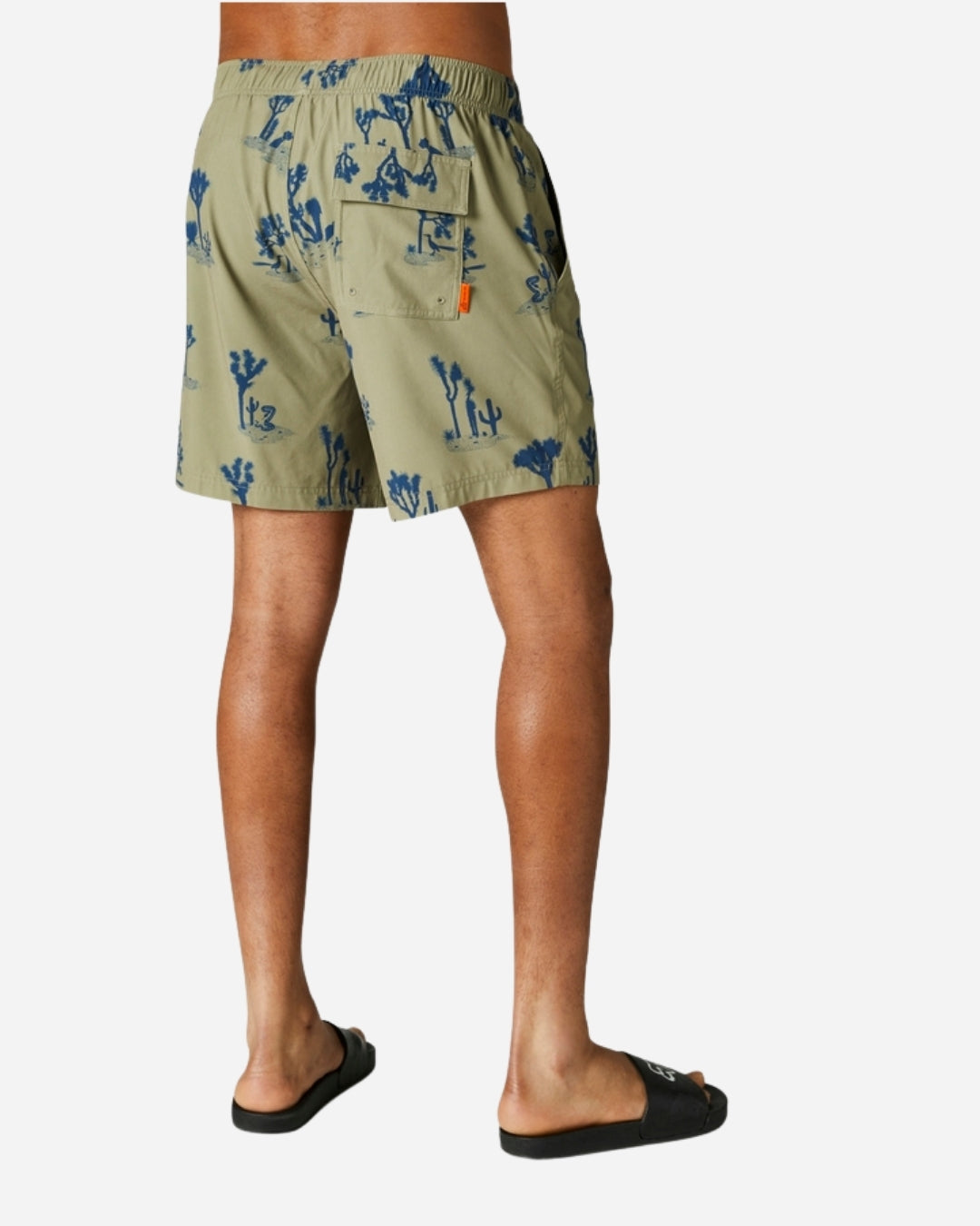 Short Volley Fox Racing Beaten Path - Vert