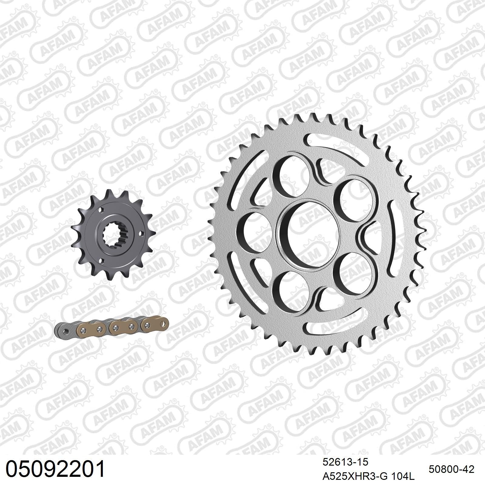 Kit chaîne AFAM Ducati Multistrada 1100 (2007-2009)