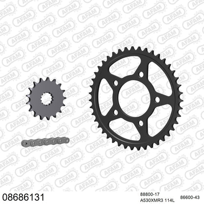 Kit chaîne AFAM Triumph Thunderbird Sport 900 (1998-2001)